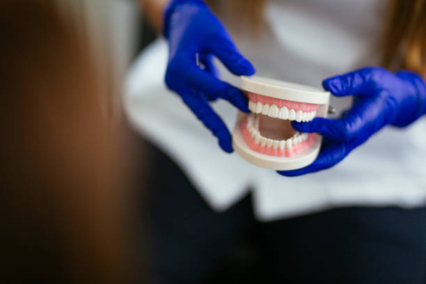 Dental Bonding in Royal Palm Beach, FL